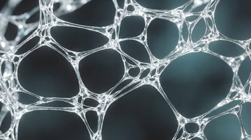 The Architecture of Ageless Skin: Decoding the Cellular Symphony of the Dermis